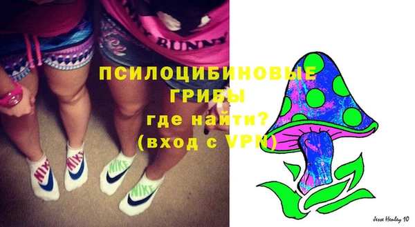 прущий лед Магас