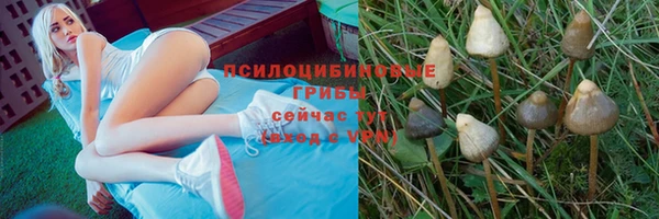 прущий лед Магас