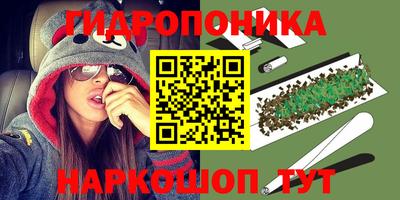 эйфоретик Аргун