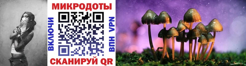Псилоцибиновые грибы Magic Shrooms  Купить где  Чебоксары 