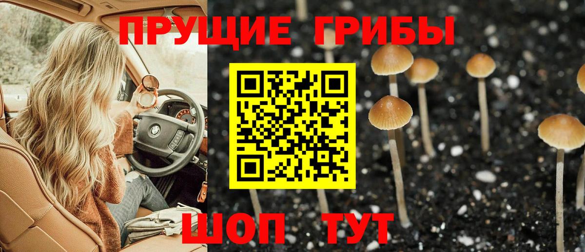 Галлюциногенные грибы мицелий  Чебоксары 