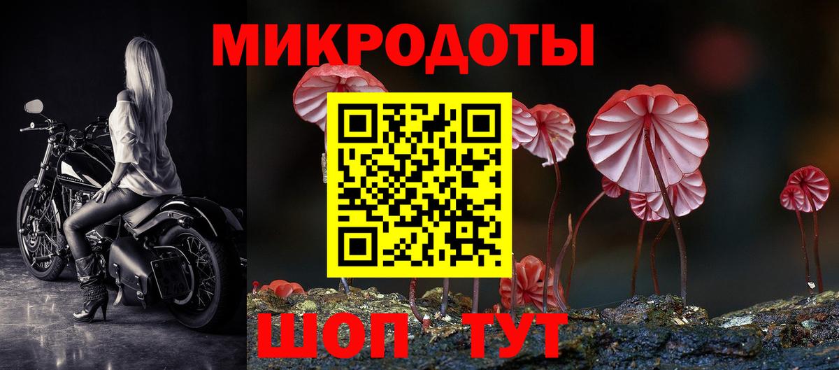 Псилоцибиновые грибы ЛСД  Псилоцибиновые грибы ЛСД  Чебоксары  Вход с VPN 