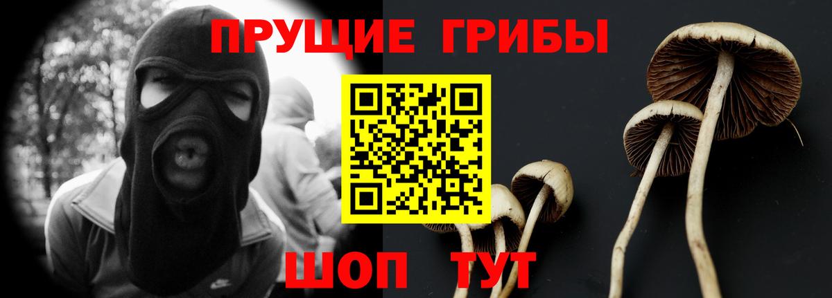 Псилоцибиновые грибы GOLDEN TEACHER Чебоксары